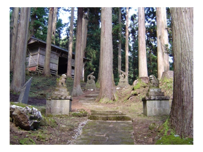 杉木立の参道